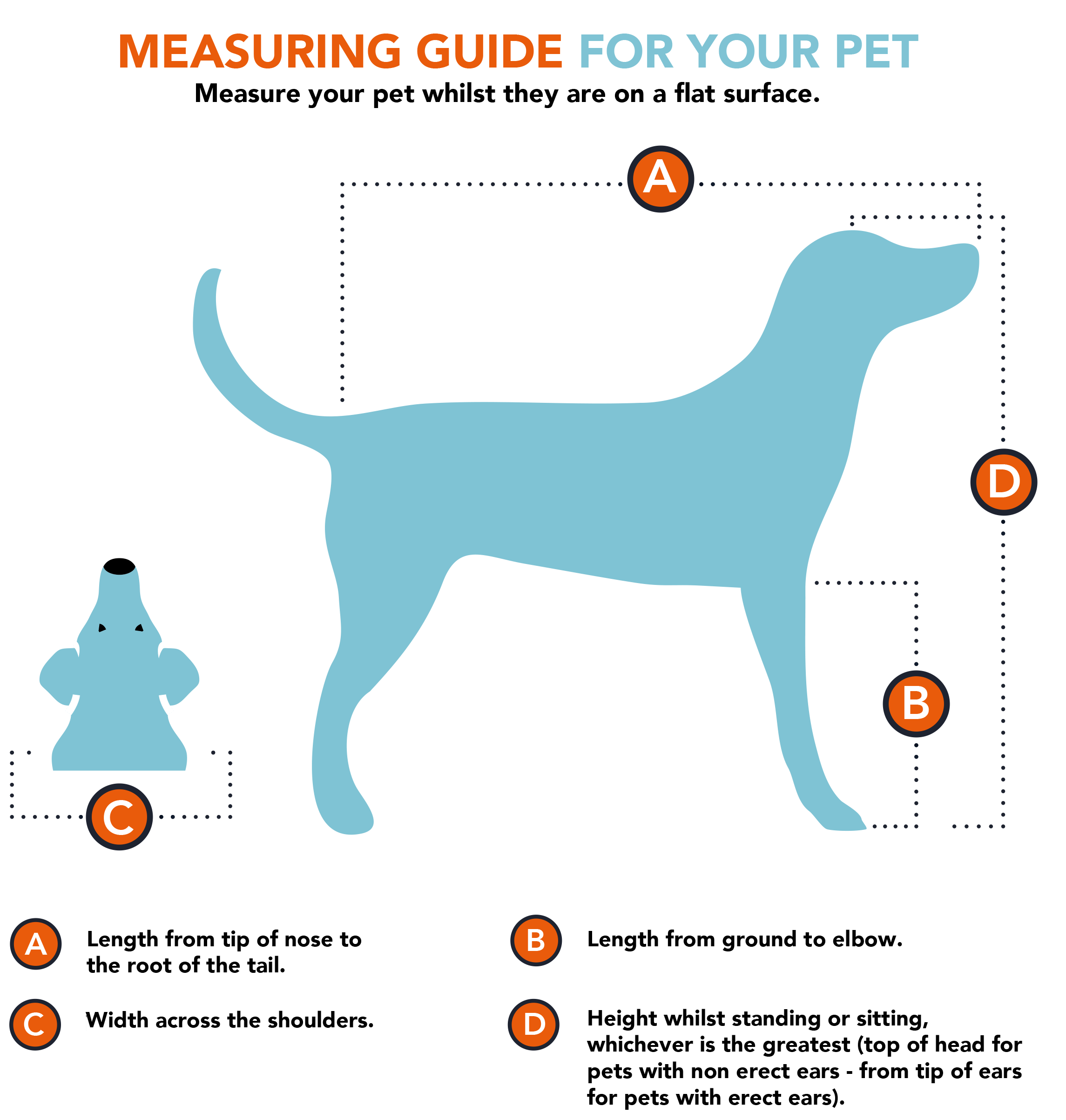 tips-on-how-to-measure-your-dog-cat-tailwings-uk