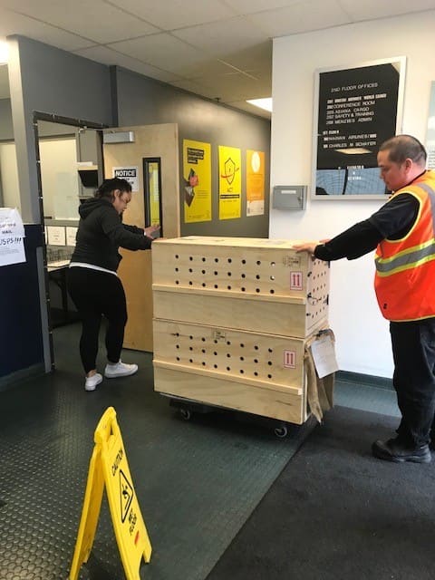 giant crates