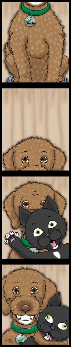 passport for pets