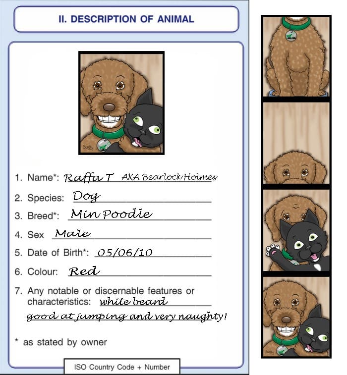 passports for pets