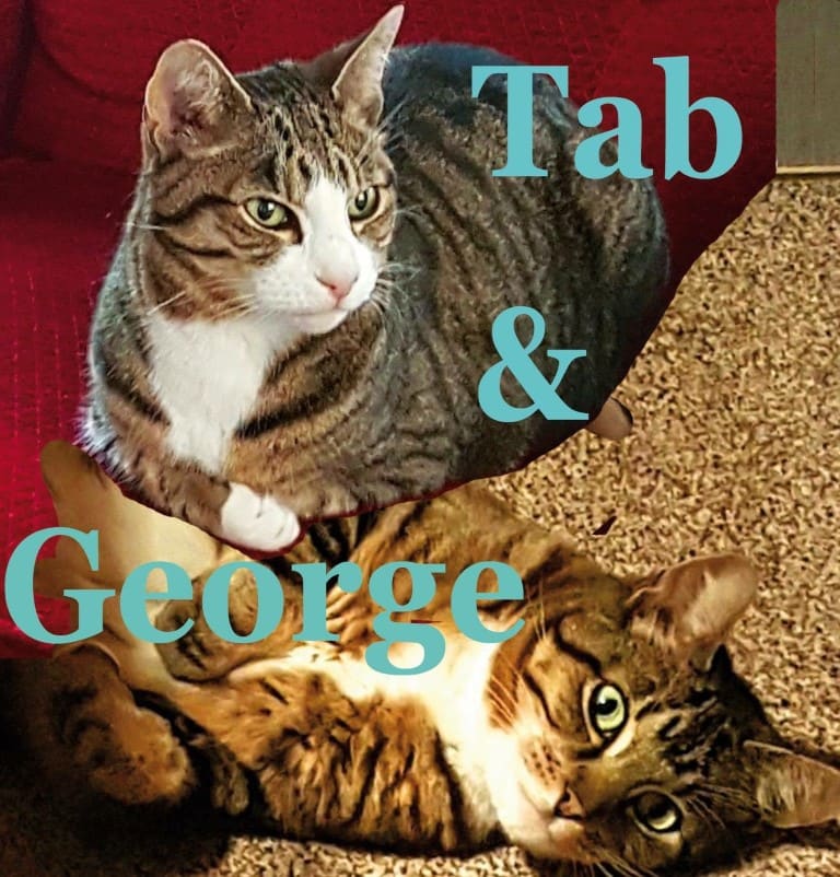 tab and george.jpeg