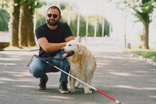 Travelling with a Service Dog